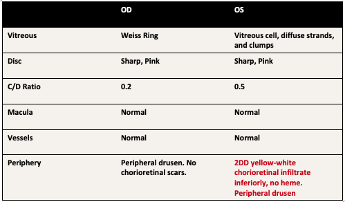 PDF) Acute-Onset Retinal Conditions Mimicking Acute Optic Neuritis:  Overview and Differential Diagnosis