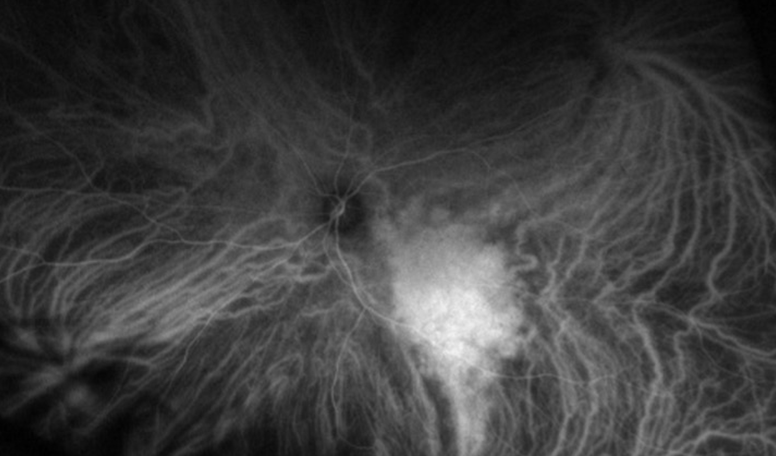 Image of the Month